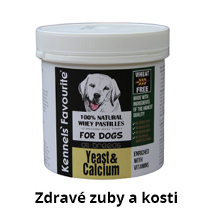 Zdravé zuby a kosti